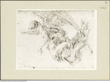 Vorderseite von bh247868_recto