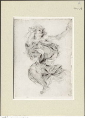 Vorderseite von bh247873_recto