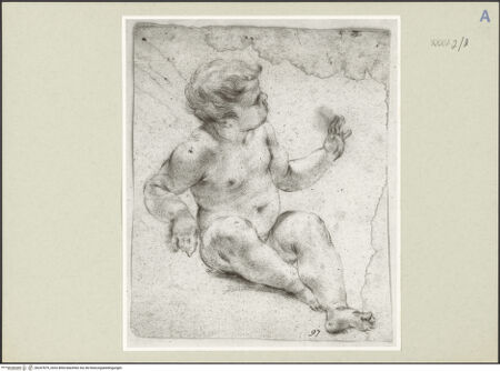 Vorderseite von bh247879_recto