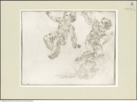 Vorderseite von bh247893_recto