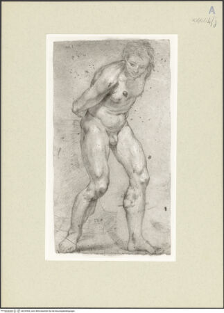 Vorderseite von bh247894_recto