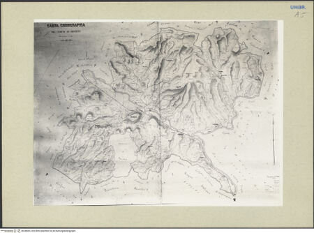 Vorderseite von bh248065_recto