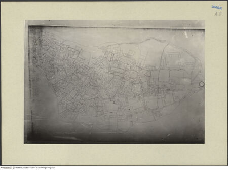 Vorderseite von bh248070_recto