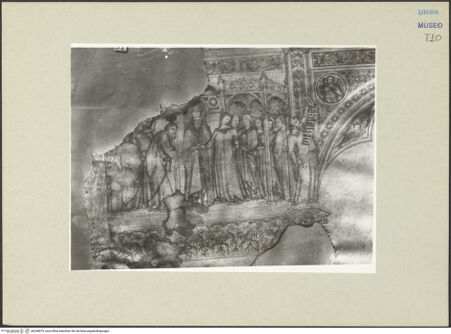 Vorderseite von bh248079_recto