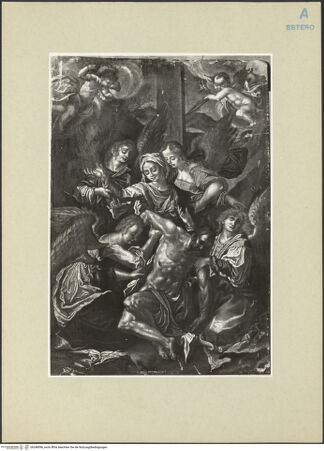 Vorderseite von bh248096_recto