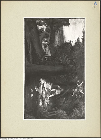 Vorderseite von bh248098_recto