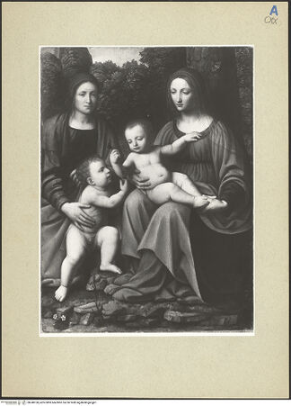 Vorderseite von bh248100_recto