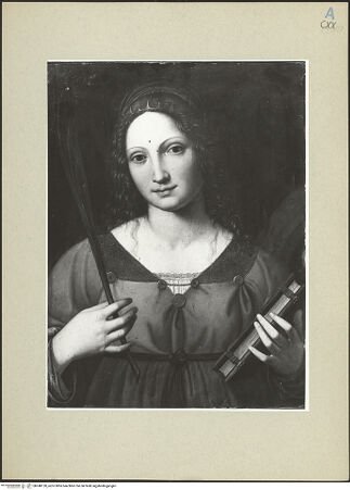 Vorderseite von bh248120_recto