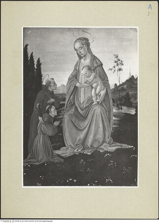 Vorderseite von bh248123_recto