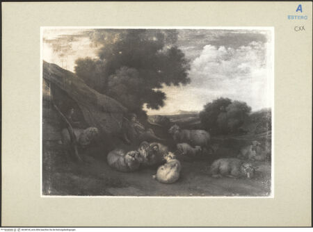 Vorderseite von bh248140_recto