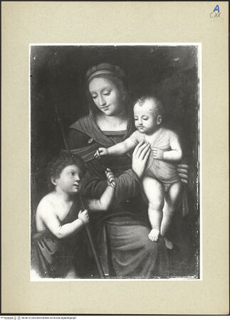 Vorderseite von bh248142_recto