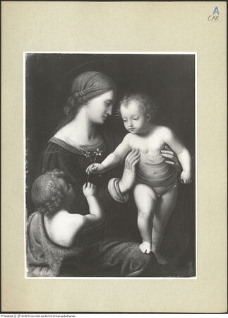 Vorderseite von bh248144_recto