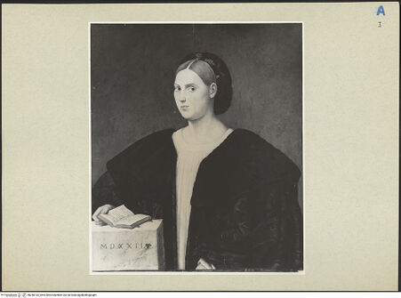 Vorderseite von bh248145_recto