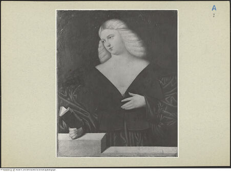 Vorderseite von bh248151_recto