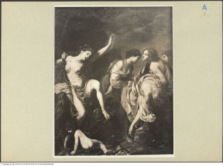 Vorderseite von bh248155_recto