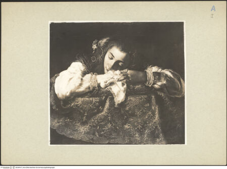 Vorderseite von bh248167_recto