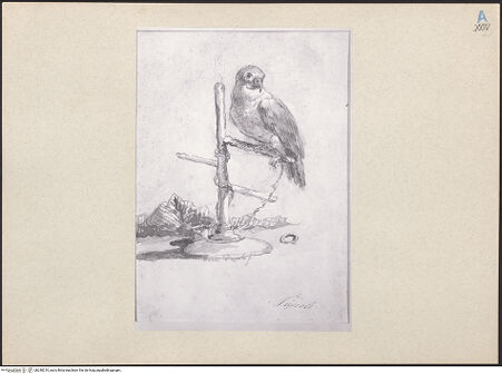 Vorderseite von bh248210_recto