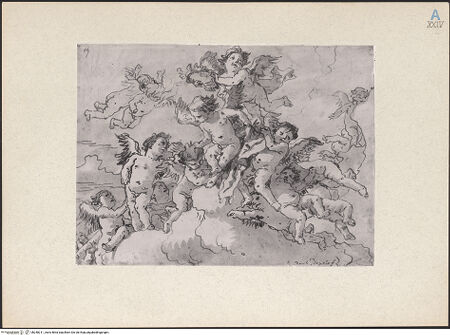 Vorderseite von bh248211_recto