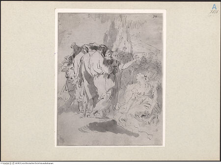 Vorderseite von bh248212_recto