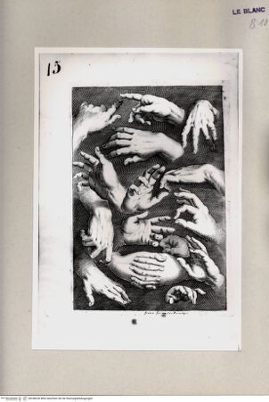 Vorderseite von Bibliotheca Hertziana [http://creativecommons.org/publicdomain/mark/1.0/] G.Franco(ed.), "De excellentia et nobilitate delineationis", Venezia 1611)Blatt 15: Handstudien - , bh248230. Foto.