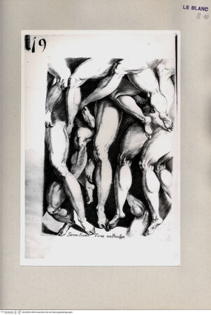 Vorderseite von Bibliotheca Hertziana [http://creativecommons.org/publicdomain/mark/1.0/] G.Franco(ed.), "De excellentia et nobilitate delineationis", Venezia 1611)Blatt 19: Beinstudien - , bh248234. Foto.