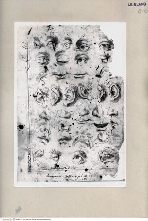 Vorderseite von Bibliotheca Hertziana [http://creativecommons.org/publicdomain/mark/1.0/] G.Franco(ed.), "De excellentia et nobilitate delineationis", Venezia 1611)Blatt 1: Studien: Augen, Ohren, Nasen, Münder - , bh248239. Foto.