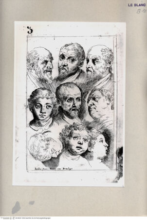 Vorderseite von Bibliotheca Hertziana [http://creativecommons.org/publicdomain/mark/1.0/] G.Franco(ed.), "De excellentia et nobilitate delineationis", Venezia 1611)Blatt 3: Kopfstudien: Männer- und Kinderköpfe - , bh248241. Foto.