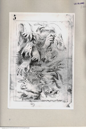 Vorderseite von Bibliotheca Hertziana [http://creativecommons.org/publicdomain/mark/1.0/] G.Franco(ed.), "De excellentia et nobilitate delineationis", Venezia 1611)Blatt 5: Handstudien - , bh248244. Foto.