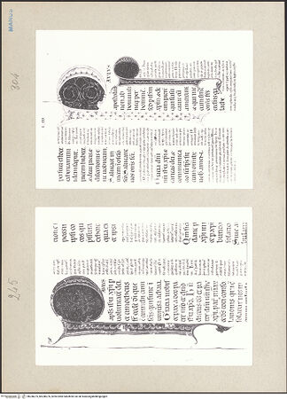 Vorderseite von bh248275_bh248276_recto