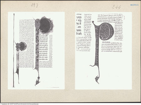 Vorderseite von bh248277_bh248278_recto