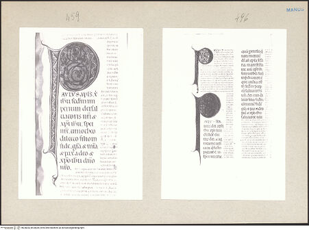 Vorderseite von bh248283_bh248284_recto