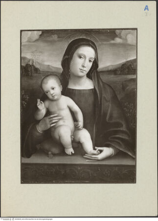 Vorderseite von bh248300_recto