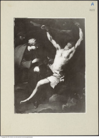 Vorderseite von bh248302_recto