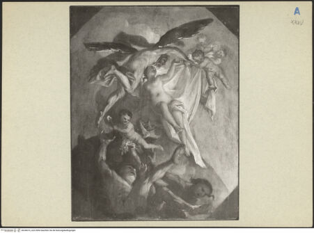 Vorderseite von bh248310_recto