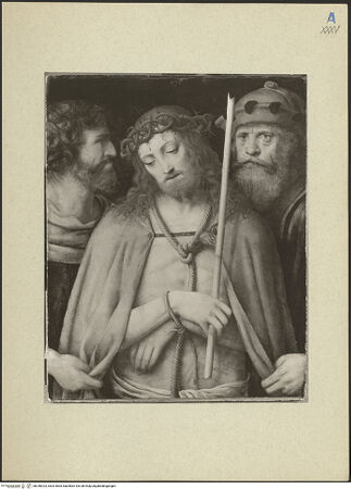 Vorderseite von bh248323_recto