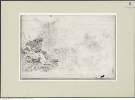 Vorderseite von bh248330_recto