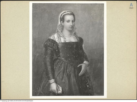 Vorderseite von bh248406_recto