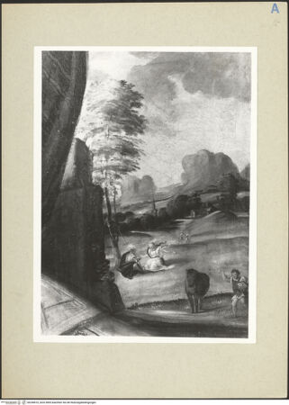 Vorderseite von bh248410_recto