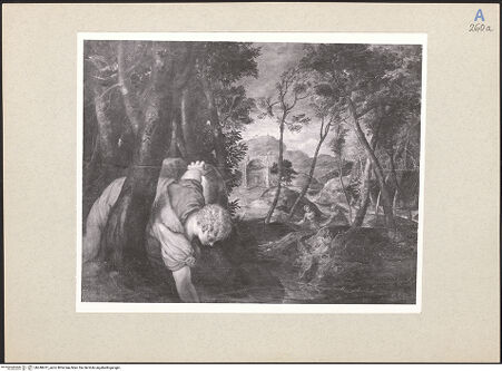 Vorderseite von Amministrazione Colonna [https://www.deutsche-digitale-bibliothek.de/content/lizenzen/rv-ez/] Narziß am Brunnen - Gesamtansicht, bh248412_recto. Foto.