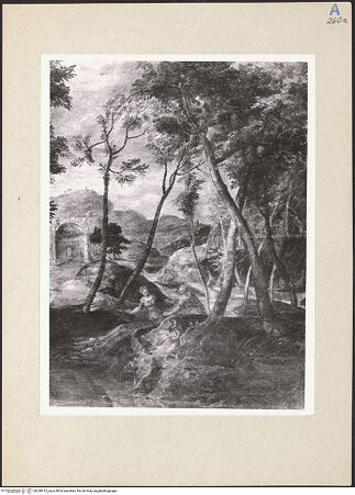 Vorderseite von bh248413_recto