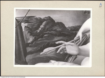 Vorderseite von Amministrazione Colonna [https://www.deutsche-digitale-bibliothek.de/content/lizenzen/rv-ez/] Venus und Amor - Detail, Hand Venus und Pfeilende, bh248417_recto. Foto.