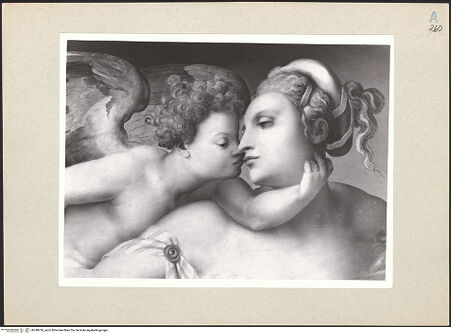 Vorderseite von Amministrazione Colonna [https://www.deutsche-digitale-bibliothek.de/content/lizenzen/rv-ez/] Venus und Amor - Detail, Gesicht Venus und Amor, bh248418_recto. Foto.