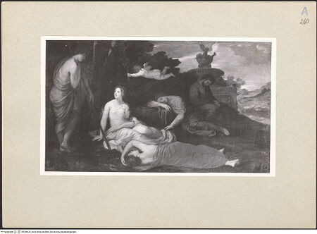 Vorderseite von bh248429_recto