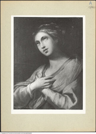 Vorderseite von bh248459_recto