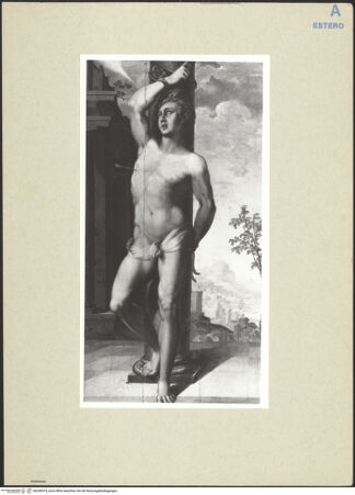 Vorderseite von bh248474_recto