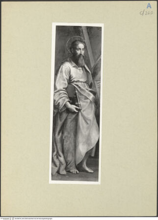 Vorderseite von bh248478_recto