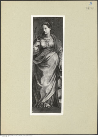 Vorderseite von bh248480_recto