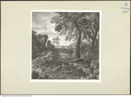 Vorderseite von bh248528_recto