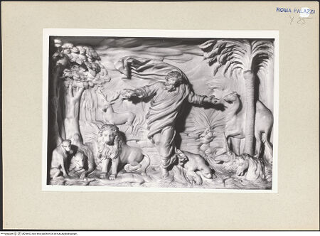 Vorderseite von bh248542_recto