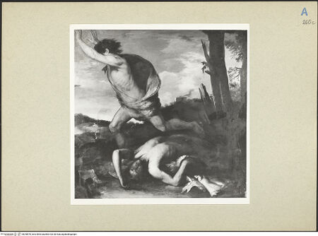 Vorderseite von bh248578_recto